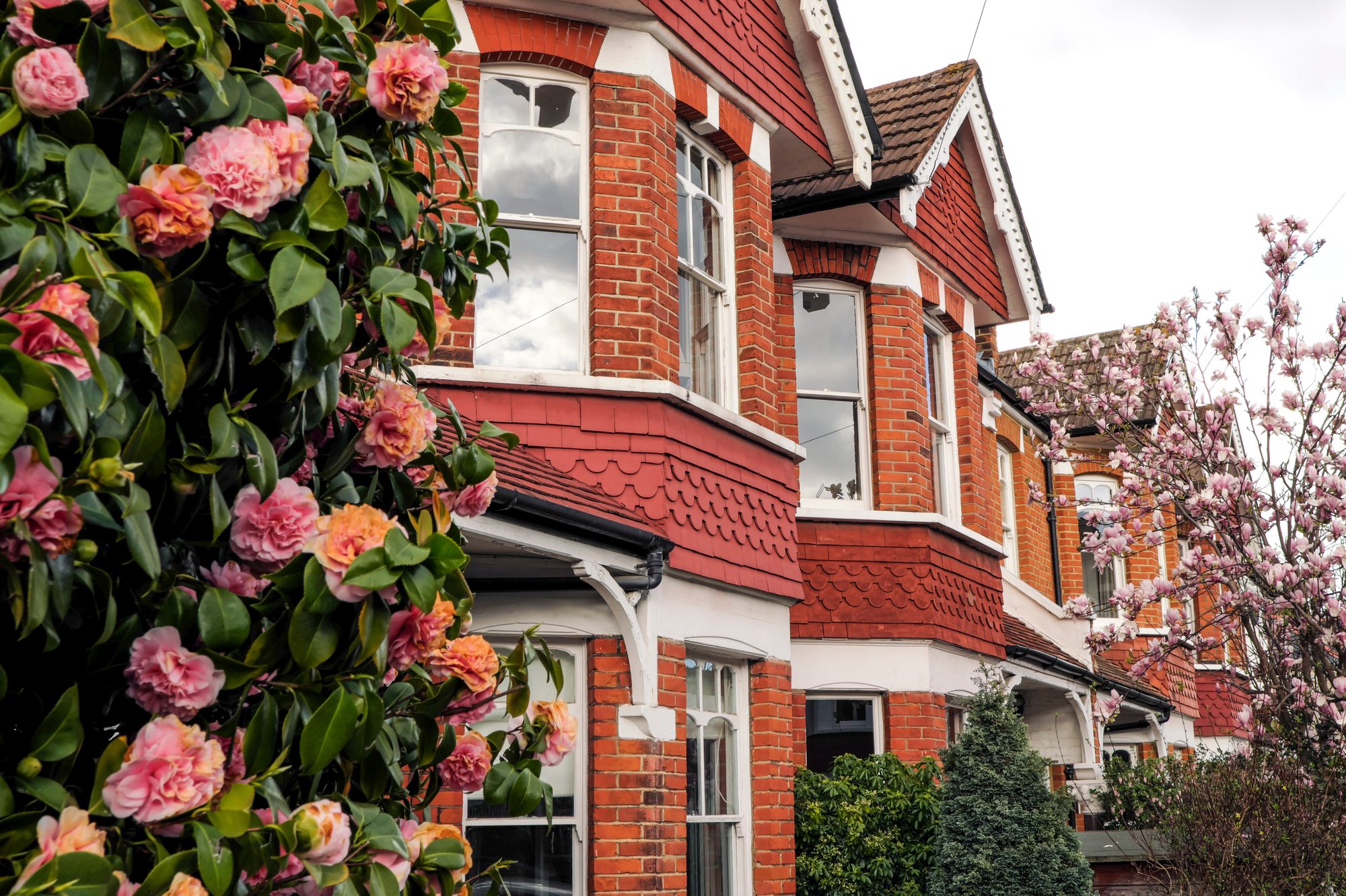 Period terraced houses of the kind we work on across Worthing, Hove and Brighton
